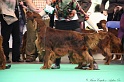 Crufts2011 747